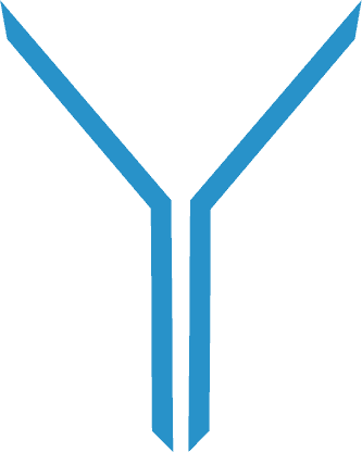 The-Y
